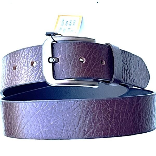 BLSI 1495